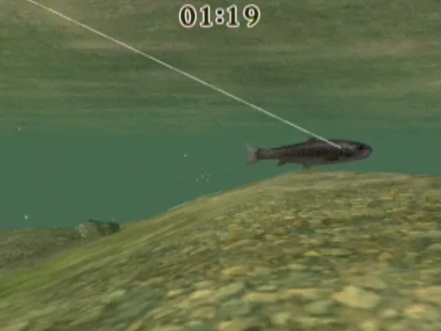 Reel Fishing Challenge