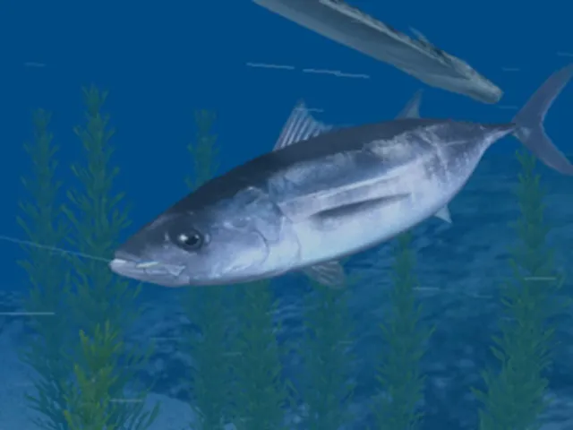 Reel Fishing: Ocean Challenge