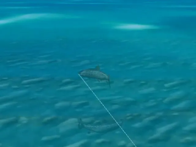 Reel Fishing: Wild