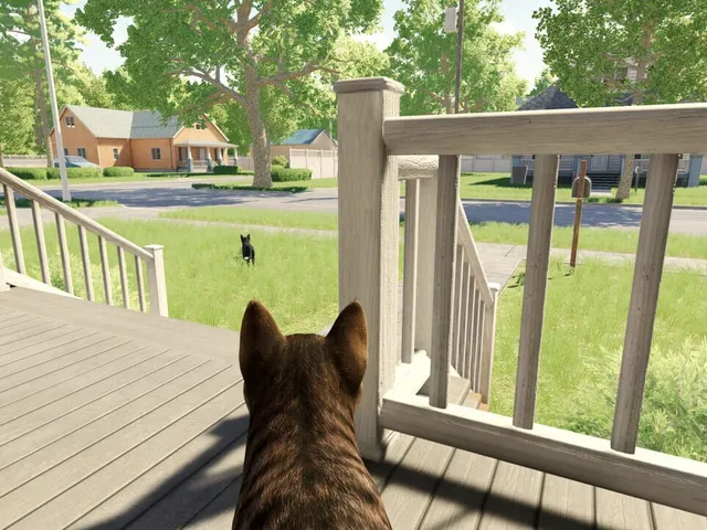 Reign of Cats