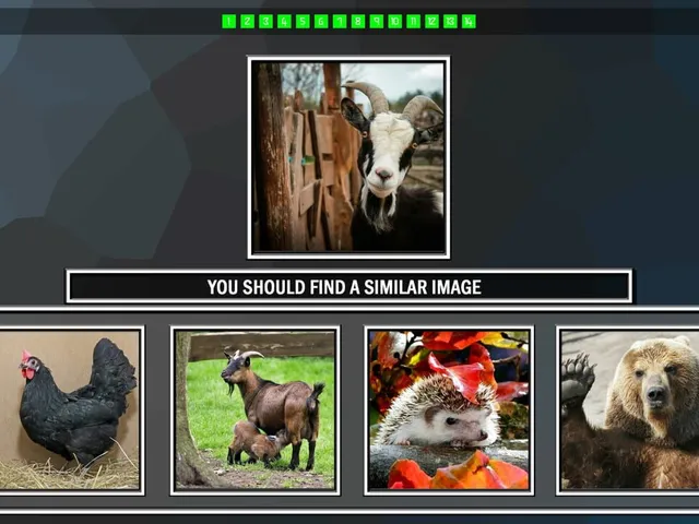 Repeat the image: Animals
