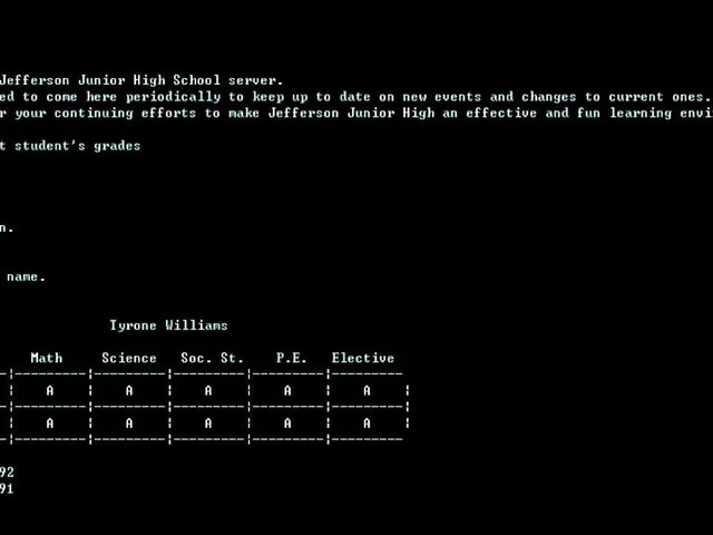 Retro Hacker