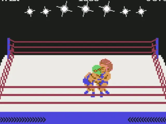 Rock'n Wrestle