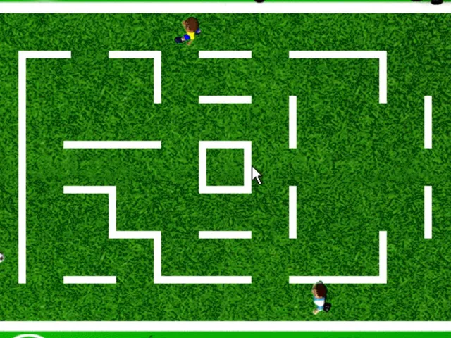 Romarinho a Caminho do Gol