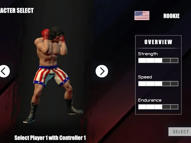 Rookie Boxing