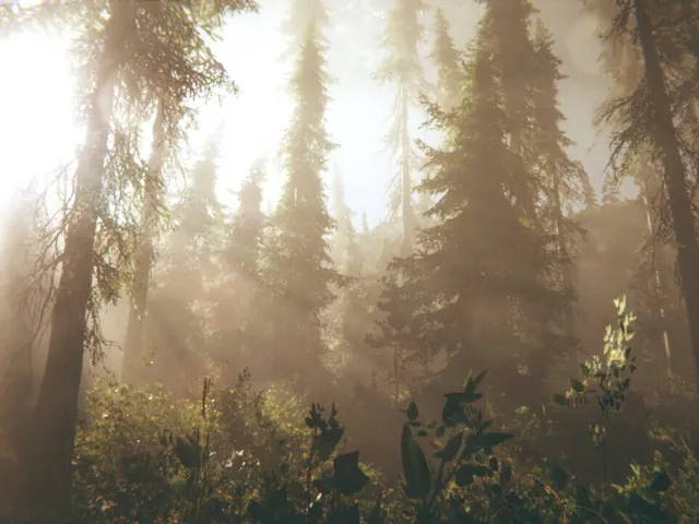 Rot: Purgatory Hill
