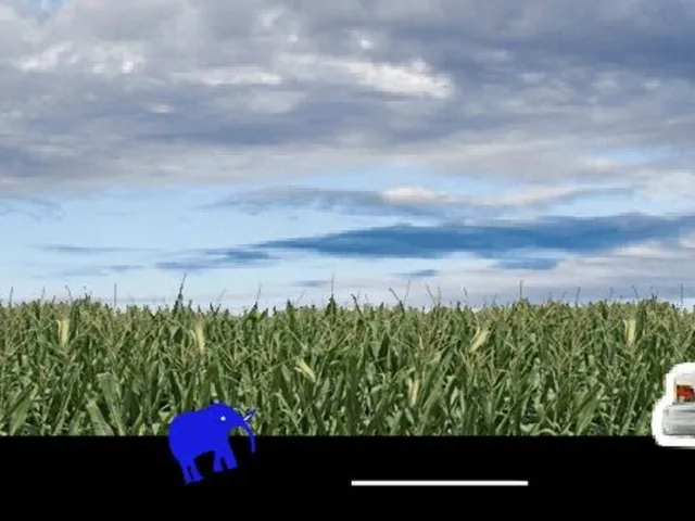 Run Elephant Run