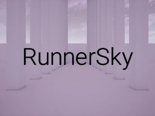 RunnerSky