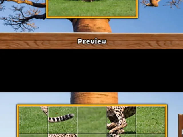 Safari Quest