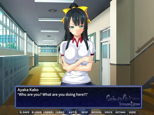 Saimin Gakuen: Intrusion Edition