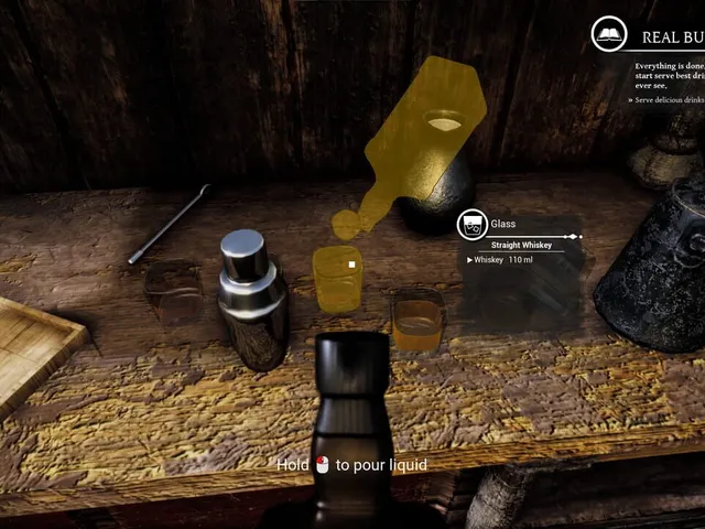 Saloon Simulator