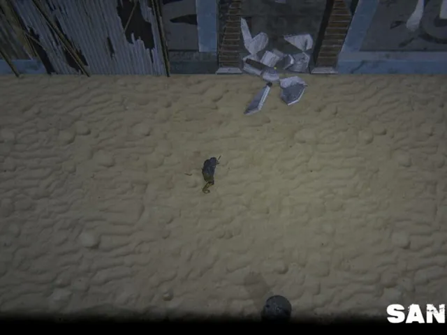 Sand Bullets