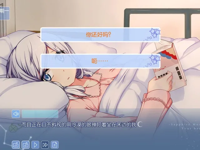 Sapphire Moon: Your Best Wishes