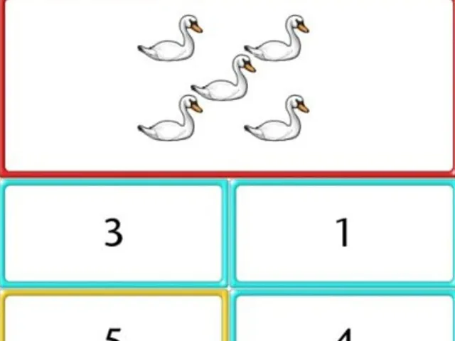 Scally's World: Numbers & Sums
