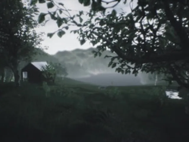 Scenic Forest Valley
