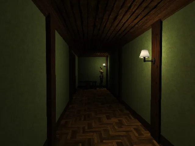 Schizophrenic Rooms