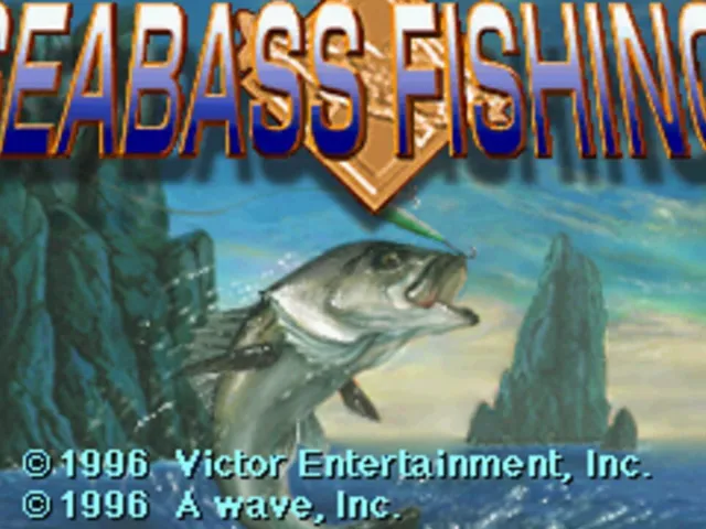 Sea Bass Fishing