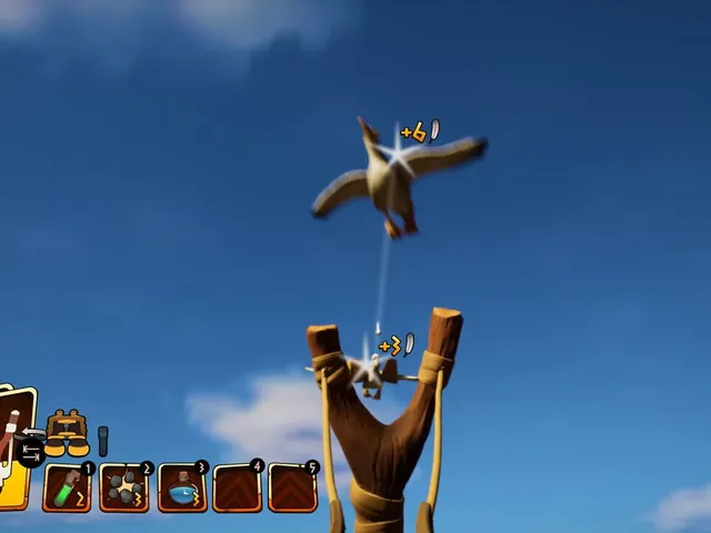 Seagulls: Crappy Situation