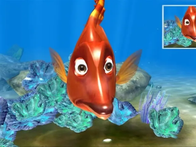 Sealife Safari
