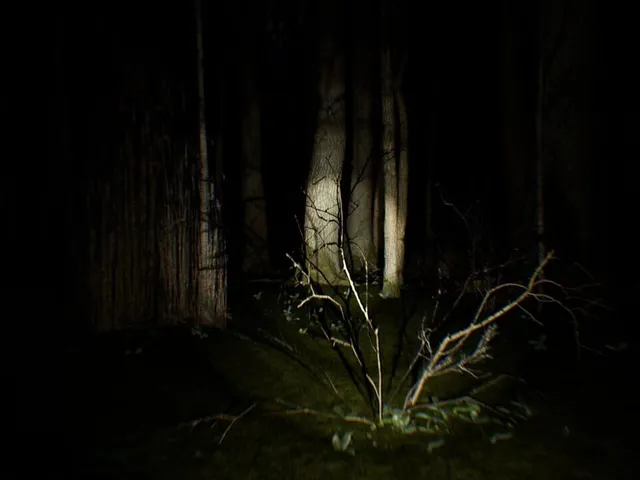 Search 4 Bigfoot