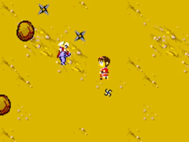 Sega Ninja