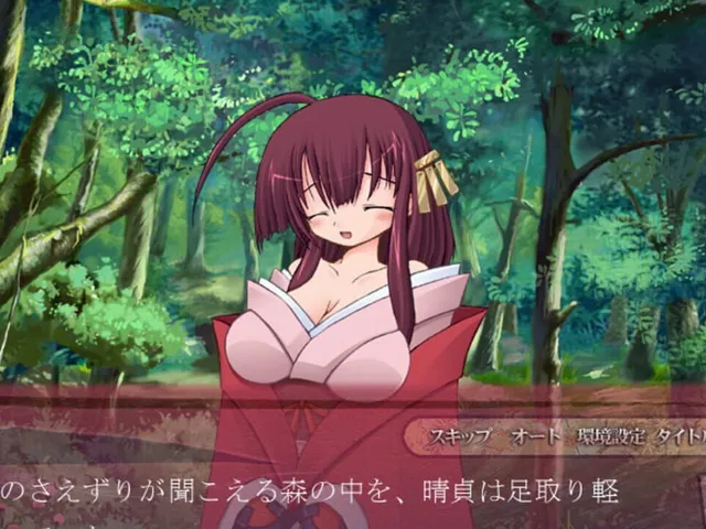 Sengoku Hime: Senran no Yo ni Honoo Tatsu