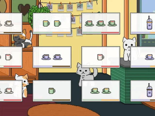 Set Café