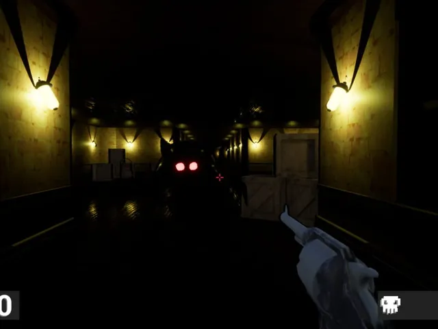 Shadow Asylum