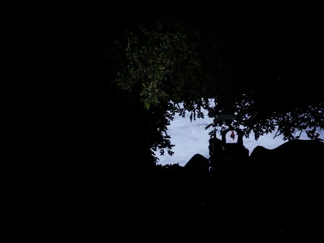 Shadow Of The Devil