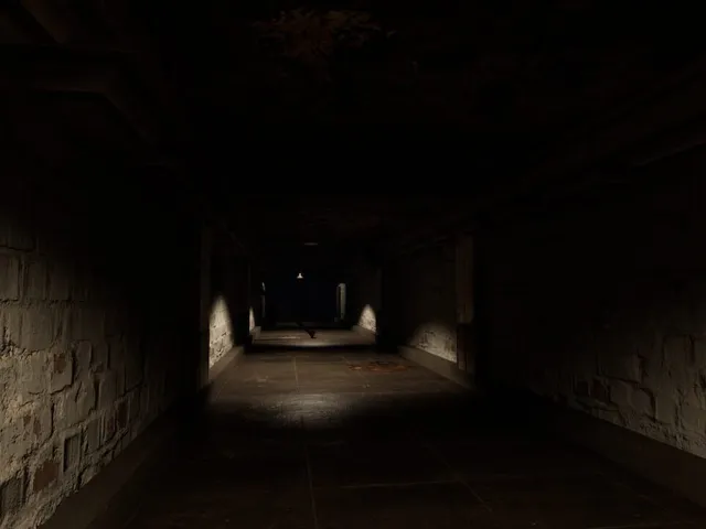 Shadow's Descent