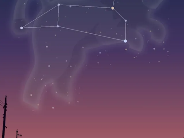 Shape of Stars