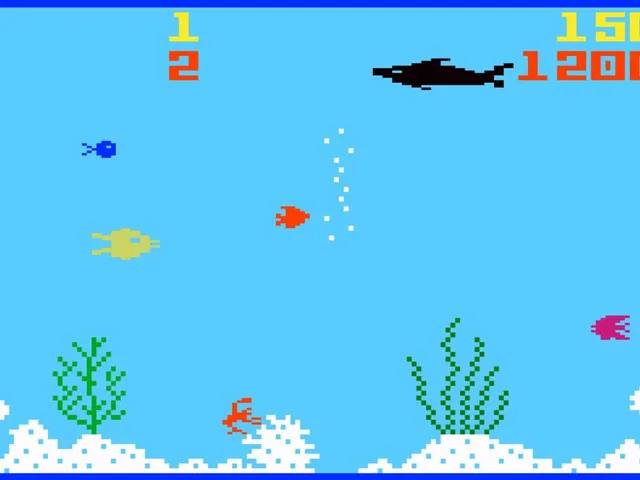 Shark! Shark!