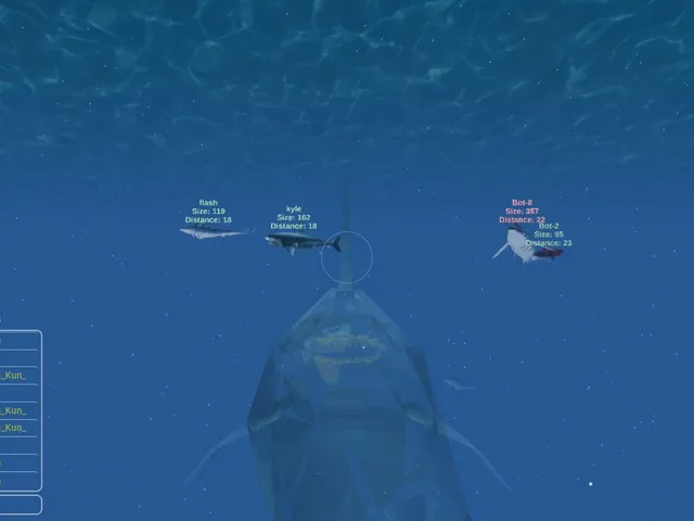 Sharks 3D