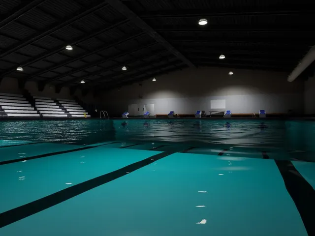 Sharks and Minnows