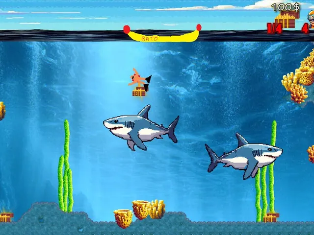 Shark's Treasures Adventure