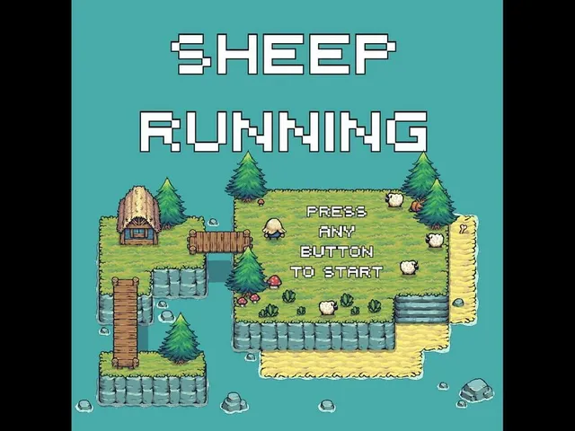 Sheep Running