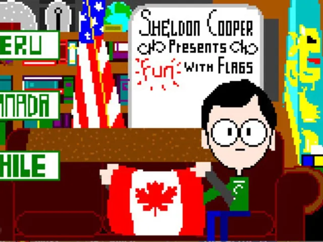 Sheldon Cooper Presents Fun with Flags