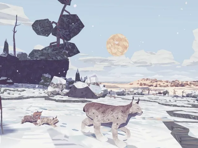 Shelter 2