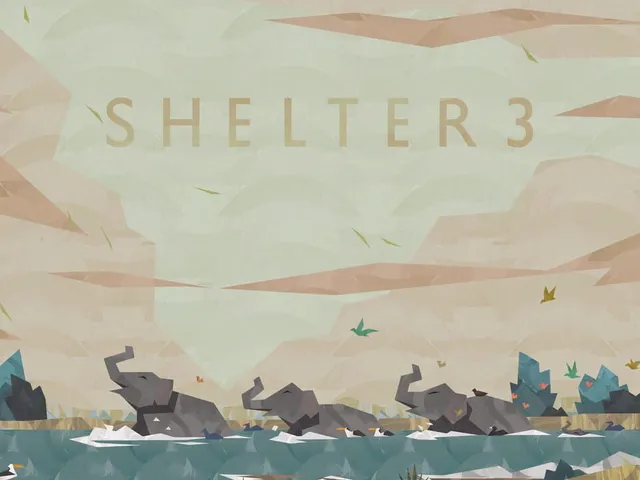 Shelter 3