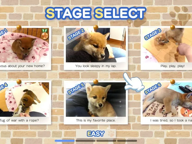Shiba Mekuri