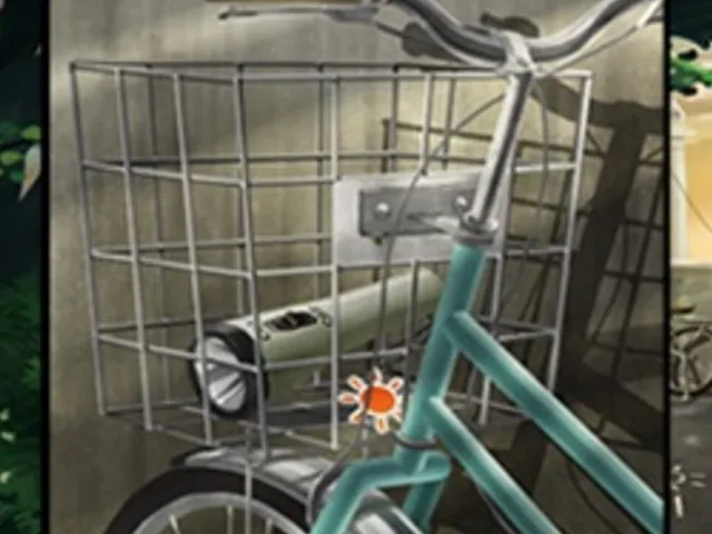 Shimai no Omoide