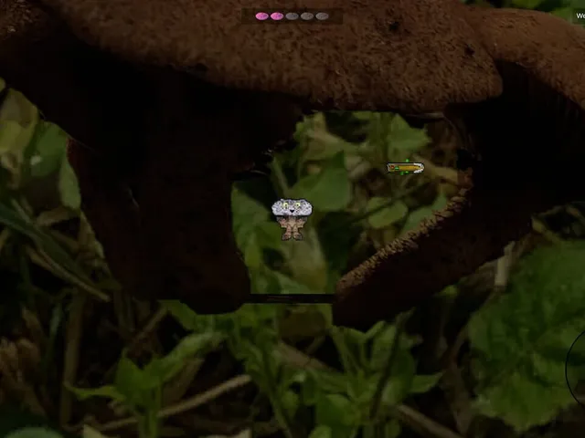 Shroomocracy! And The Wand Of Ages