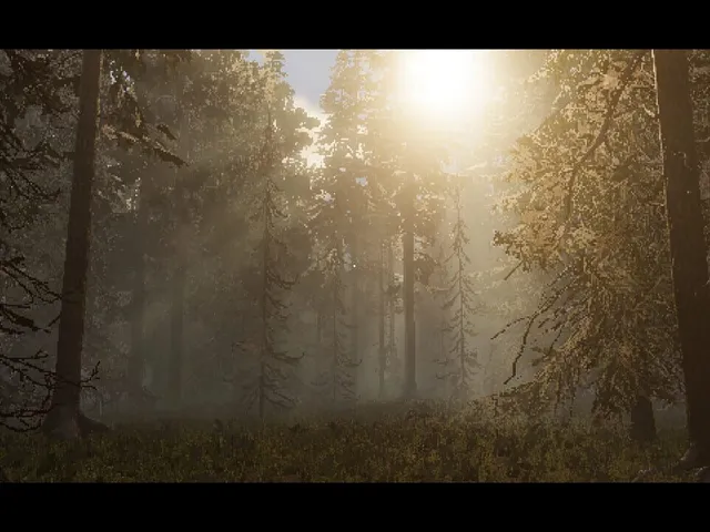 Silent Mourning