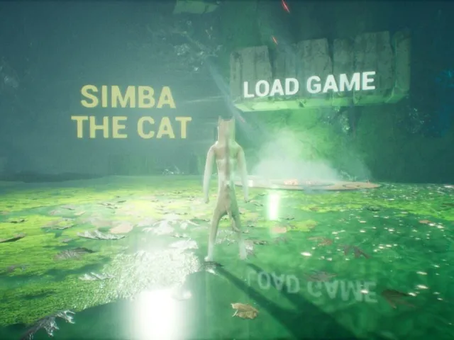 Simba the Cat