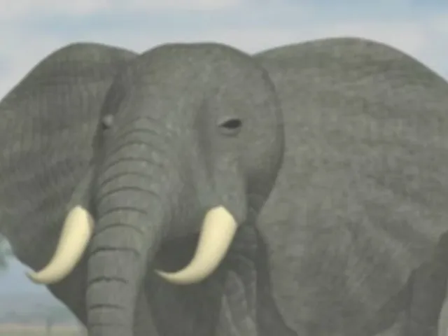Simulation Zoo