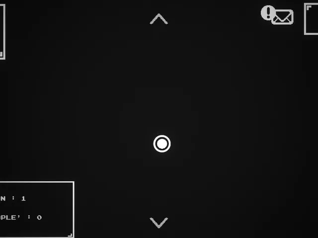 Simulation