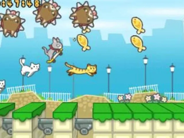 Skater Cat
