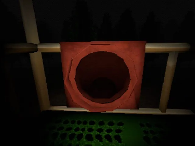 Slide in the Woods