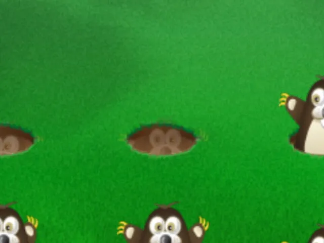 Smackit Hamster