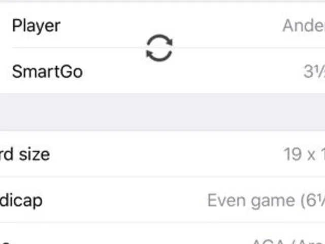 SmartGo Player